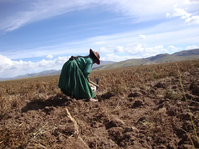 Agricultura Perú