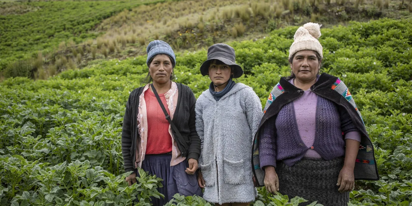 20250122_Huancavelica_SEPS4504
