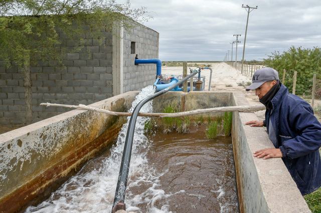 20251027_trabajador-sistema-irrigacion_Pistachos-de-los-Andes_San-Juan_Argentina_Celina-Mutti-Lovera_Dialogue-Earth-1800x1200