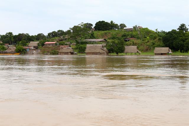 Purús