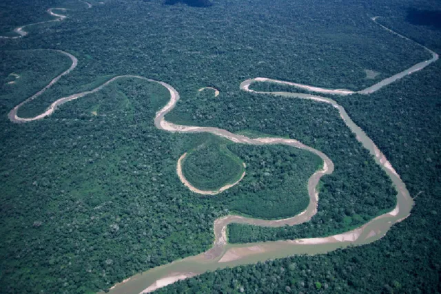 Parque Nacional Purús
