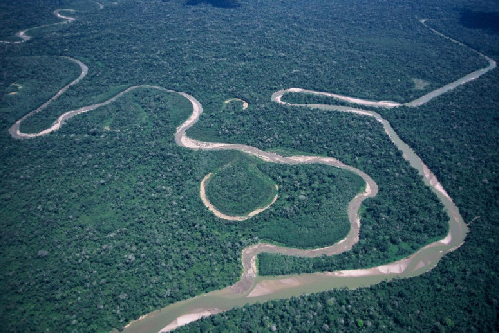 Parque Nacional Purús