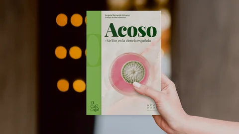 Acoso8-1200x793.png