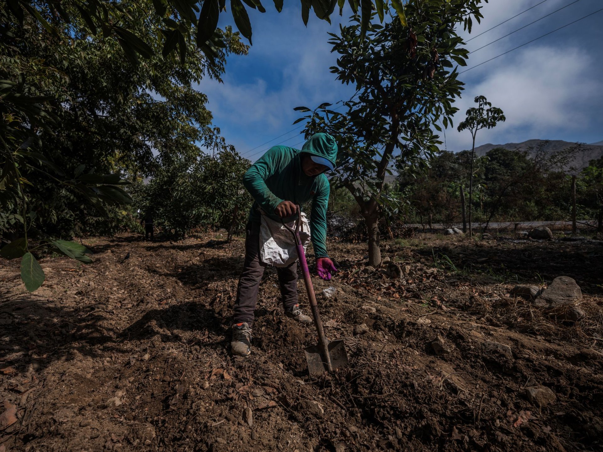 AgricultoresPequeños_Ica