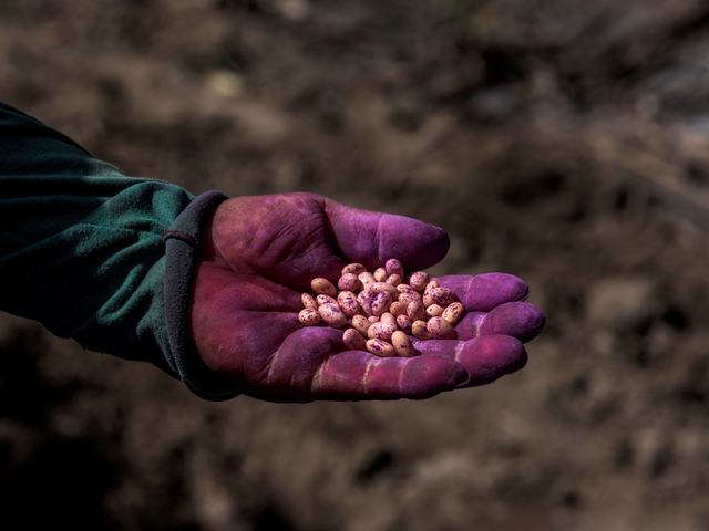 AgricultoresPequeños_Ica2