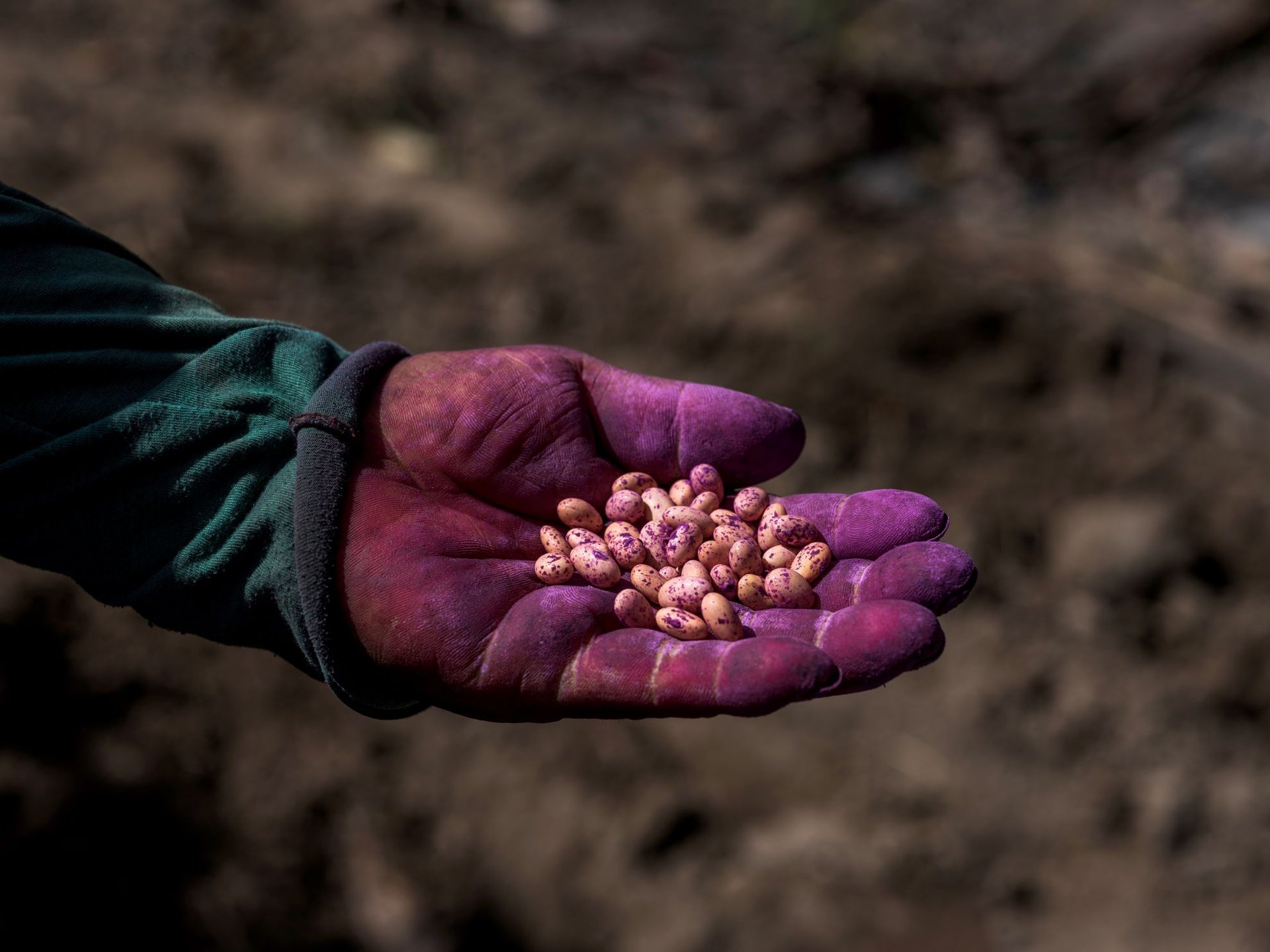 AgricultoresPequeños_Ica2