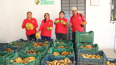 La comida que los mercados ya no venden y las ollas comunes recuperan antes de que se pierda
