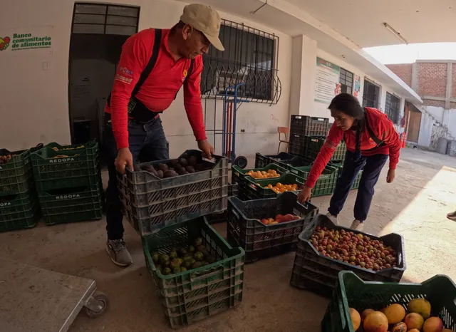 La falta de transporte, cajas y personas disponibles limita cuánto pueden recuperar, incluso cuando en los mercados quedan más productos que todavía podrían aprovecharse.