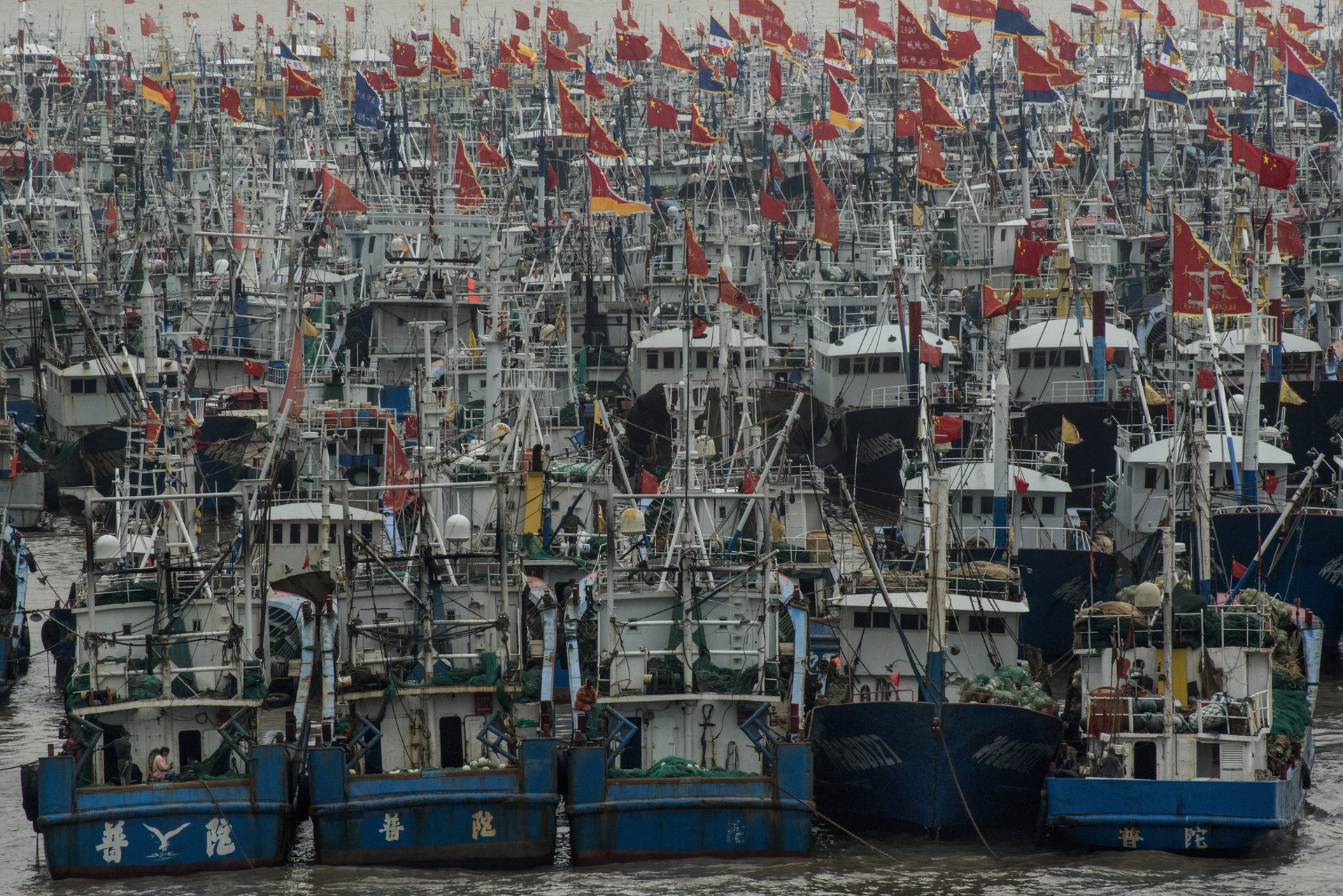 CHINA GLOBAL FISHING-0