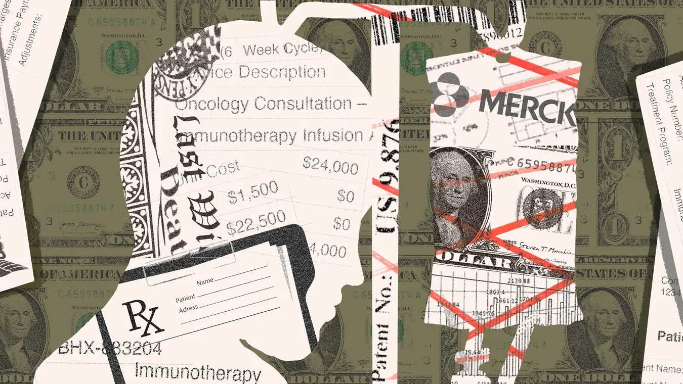 Cancer Calculus — Overview (Chelsea Conrad-ICIJ)