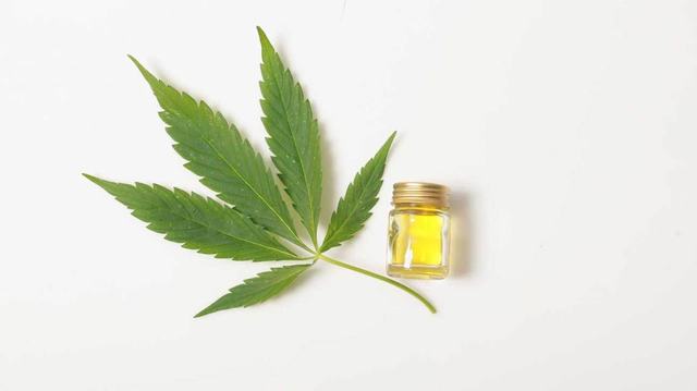 Cannabis.jpg