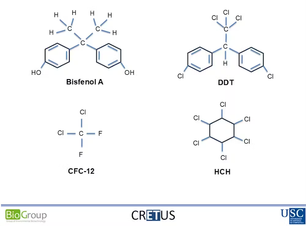 Cretus
