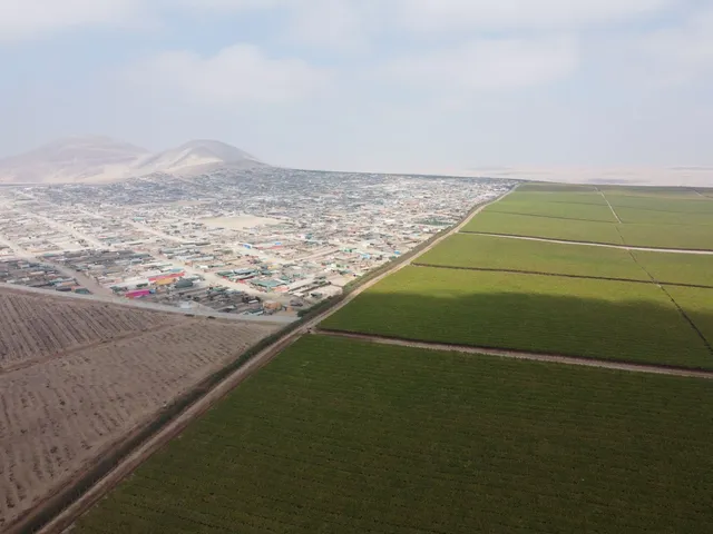 Vista aérea del valle de Ica