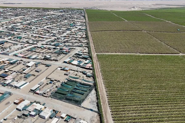 Villa Rotary y los campos agroexportadores se separan por una línea de tierra