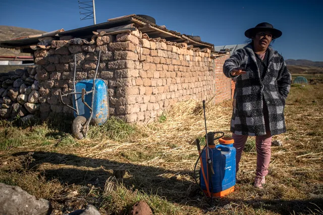 La casa, la chacra y los pesticidas forman parte de un mismo entorno cotidiano para muchas familias agricultoras.