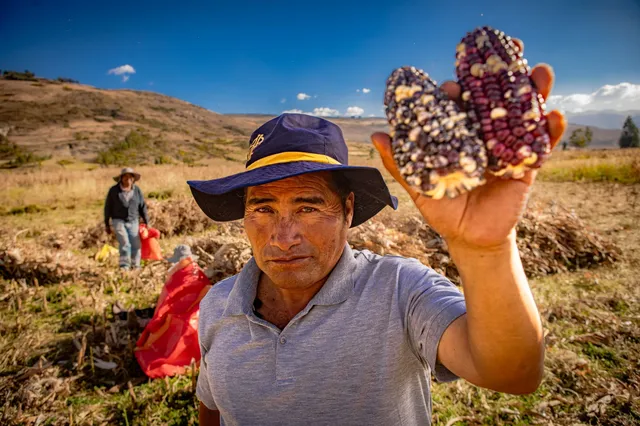 Pablo Boza, agricultor y presidente de la comunidad campesina de Pucará, al sur de Huancayo.