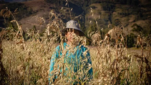 Huella tóxica: ¿Qué dejan los pesticidas desde el campo hasta nuestra mesa?