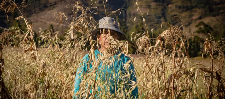 Huella tóxica: qué dejan los pesticidas en quienes trabajan con ellos y en lo que comemos