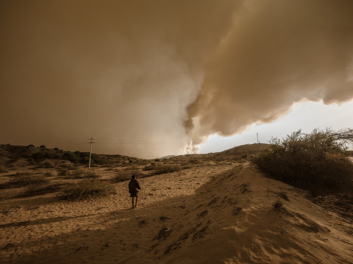 DSCF8693_Leslie Searles