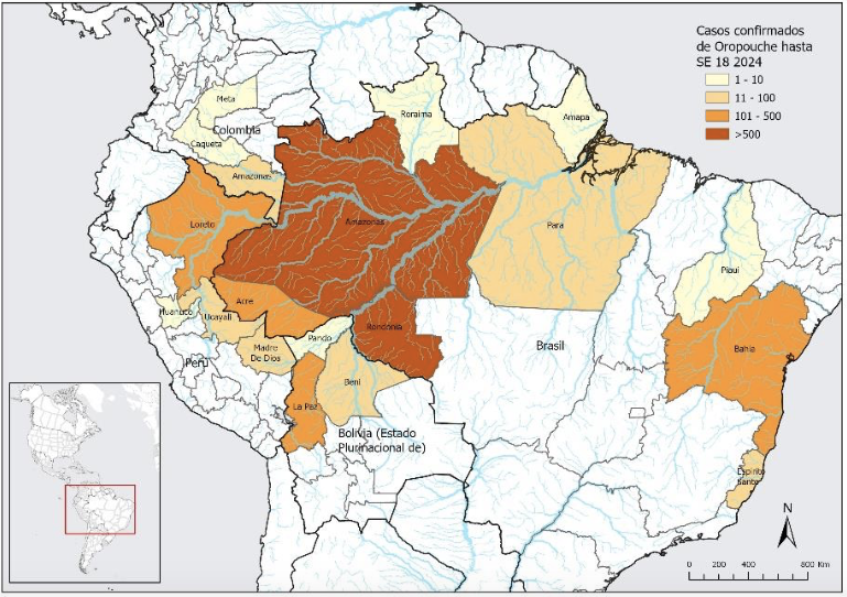Distribucion-de-casos-confirmados-de-Oropouche-en-Sudamerica-2024-Fuente-OPS