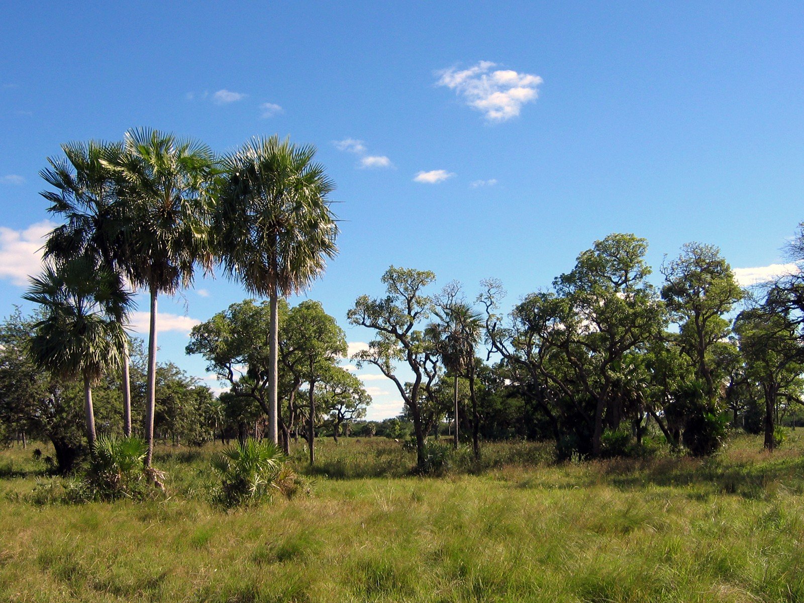 El-Chaco-Paraguay