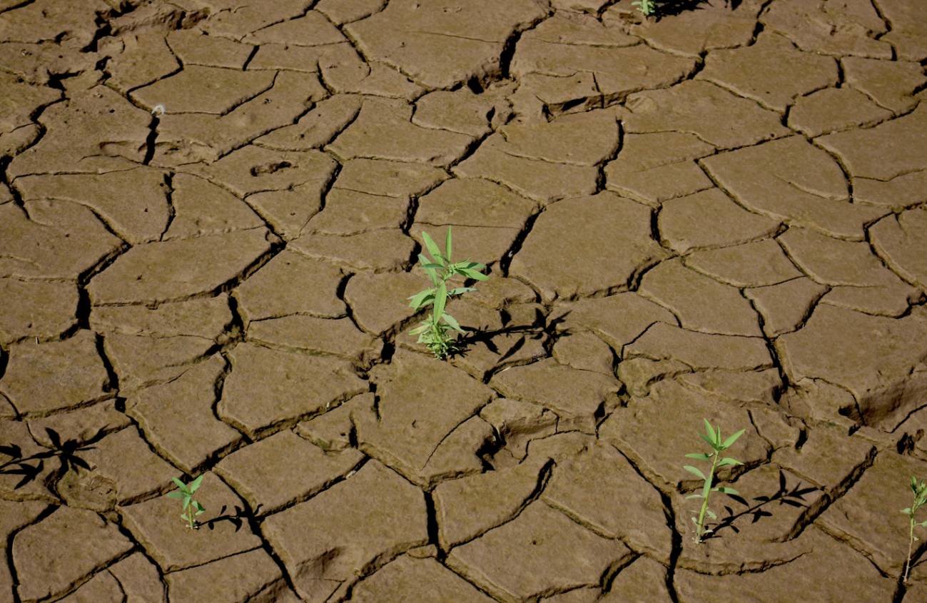 El-mundo-entra-en-bancarrota-hidrica-segun-un-informe-de-la-ONU
