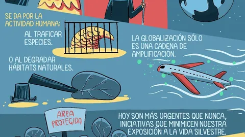 El efecto pangolin