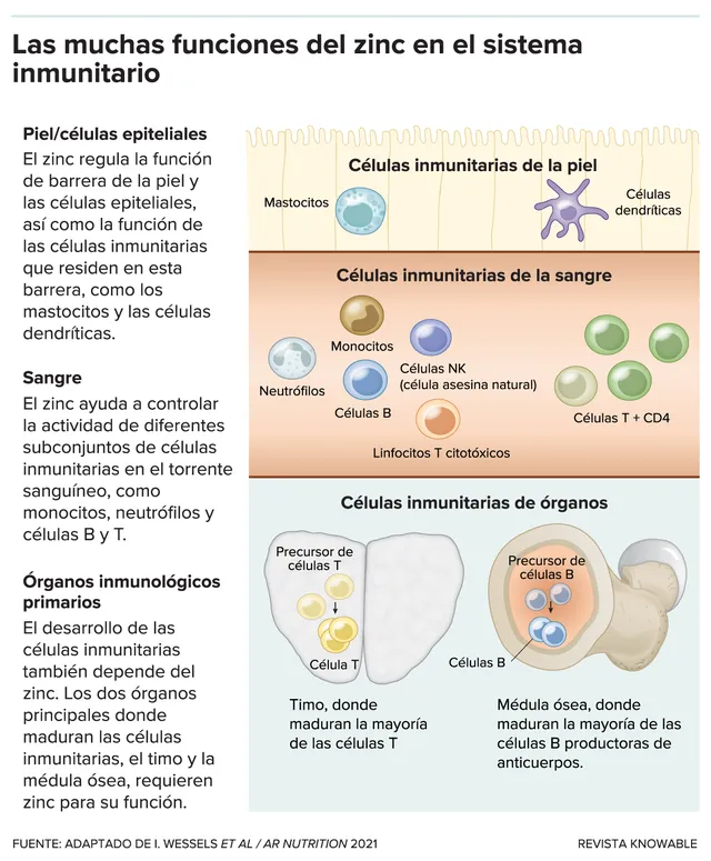 G-zinc-immune-system-kee-alt