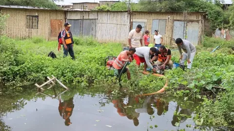 Agua estancada - Leptospirosis