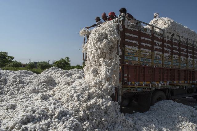 INDIA ORGANIC COTTON 12-1