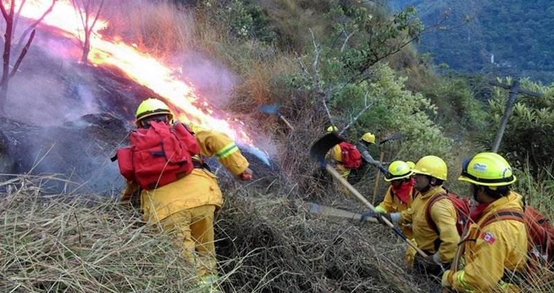 Incendio-forestal-en-Peru-Minam-2-1