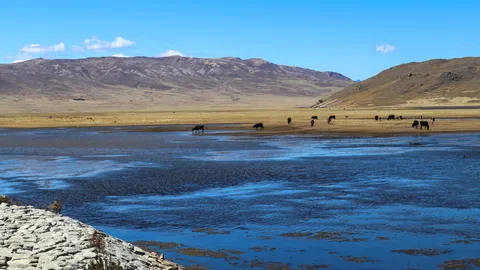 Laguna Conococha