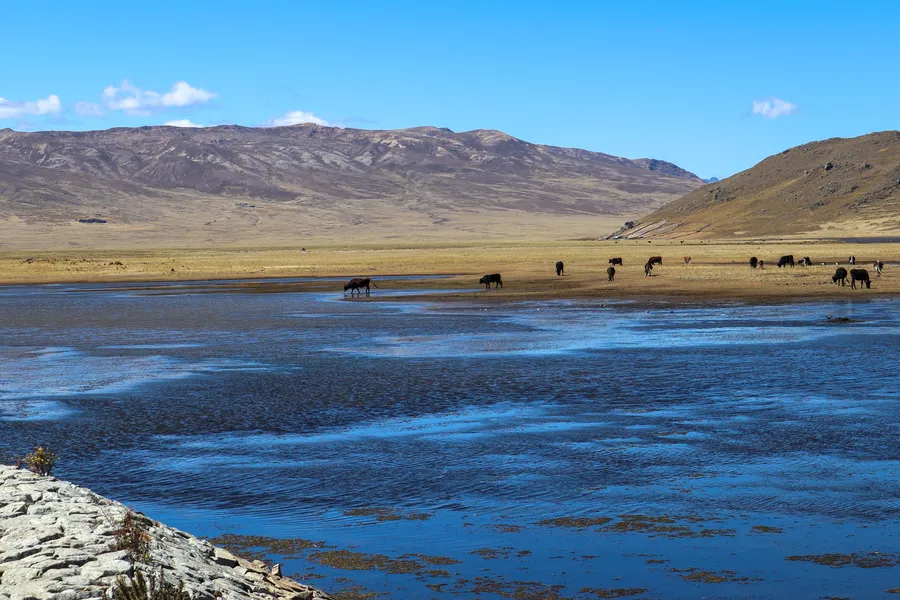 Laguna Conococha