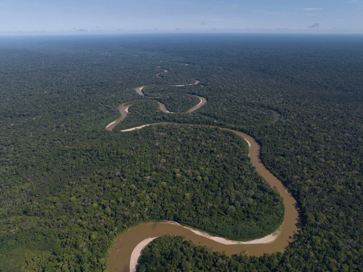Los-Amigos-lab-in-Amazonian-forest-2_credit-SDZWA-1200x899