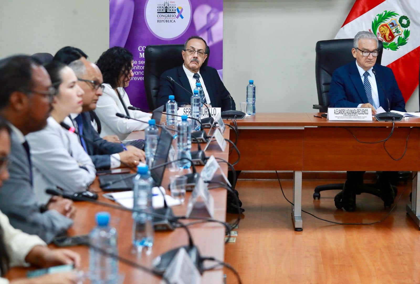 Luis Mas y Karina Aliaga durante una sesión de la comisión del Congreso sobre cáncer