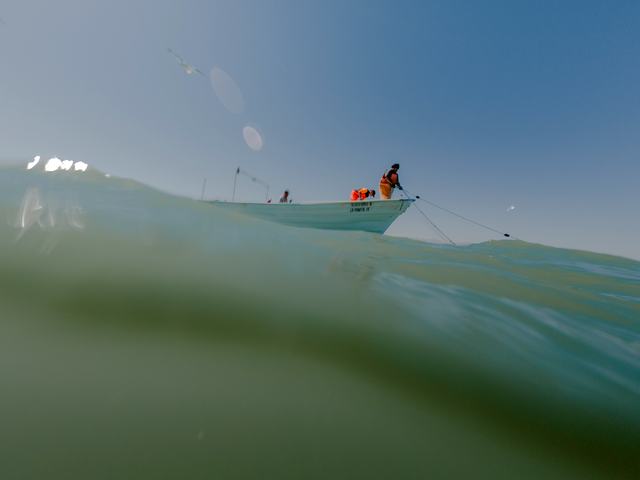 MEXICO VAQUITAS 2-8.jpg