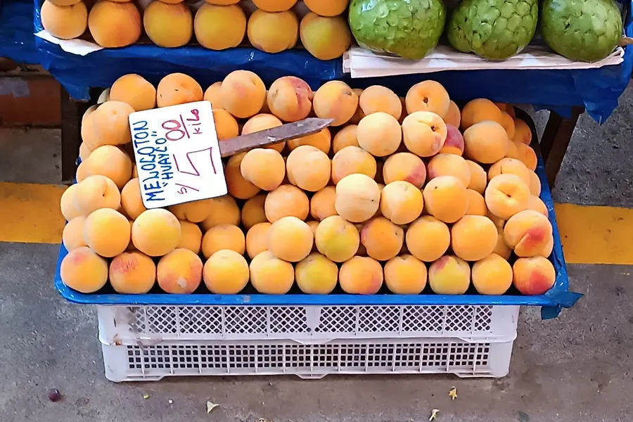 MONITOREO-CIUDADANO-DURAZNOS