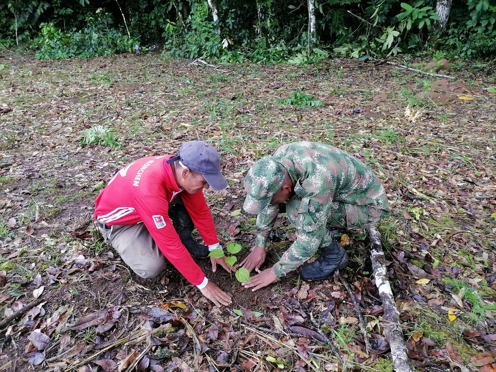 Maximino-Morales-y-soldado-plantando-balsa_Colombia_Maximino-Morales_IMG-20240729-WA0022