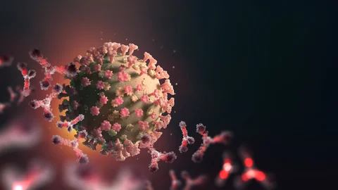 Mutación del coronavirus.jpg