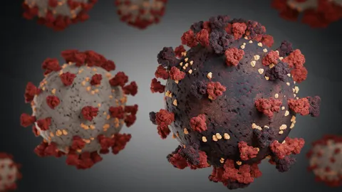 Mutación del coronavirus abridora final.jpg