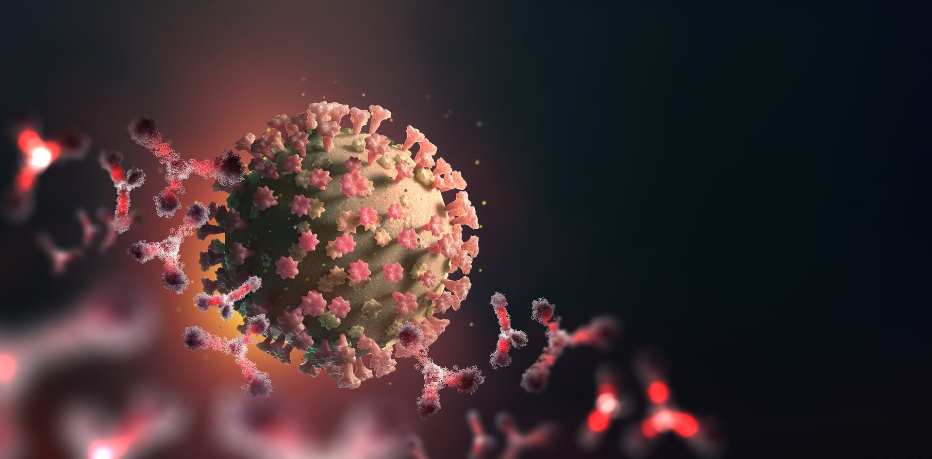 Mutación del coronavirus.jpg