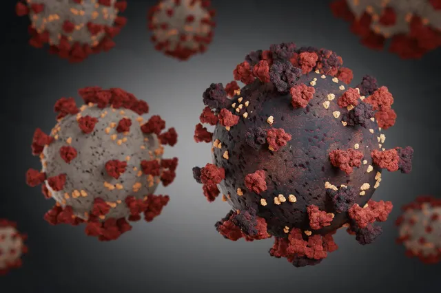 Mutación del coronavirus abridora final.jpg