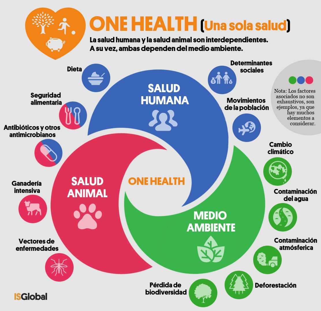 One-health-es