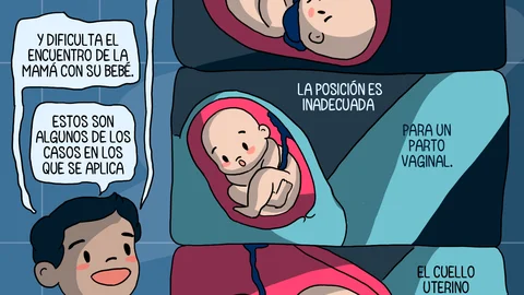 El parto robado - PIEZA GRAFICA 10.png