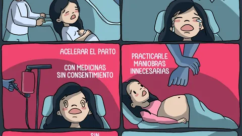 El parto robado - PIEZA GRAFICA 2.png