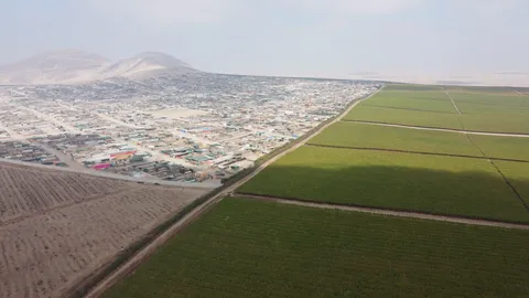 PORTADA - AGRO