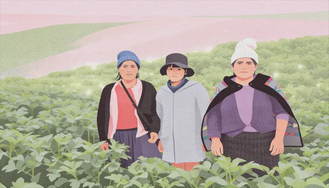 PSAN-HOJA DE RUTA-MUJERES