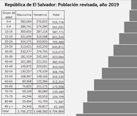 PiramidePoblacional.PNG
