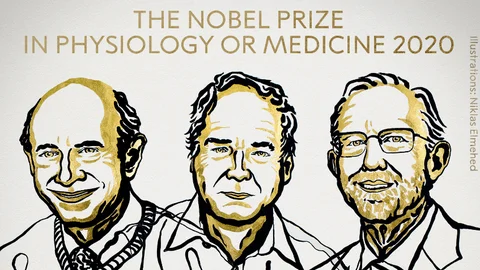 Premio-Nobel-de-Fisiologia-o-Medicina-2020-al-descubrimiento-del-virus-de-la-hepatitis-C.png