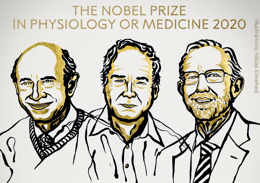 Premio-Nobel-de-Fisiologia-o-Medicina-2020-al-descubrimiento-del-virus-de-la-hepatitis-C.png